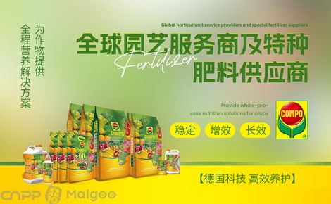compo品牌介紹